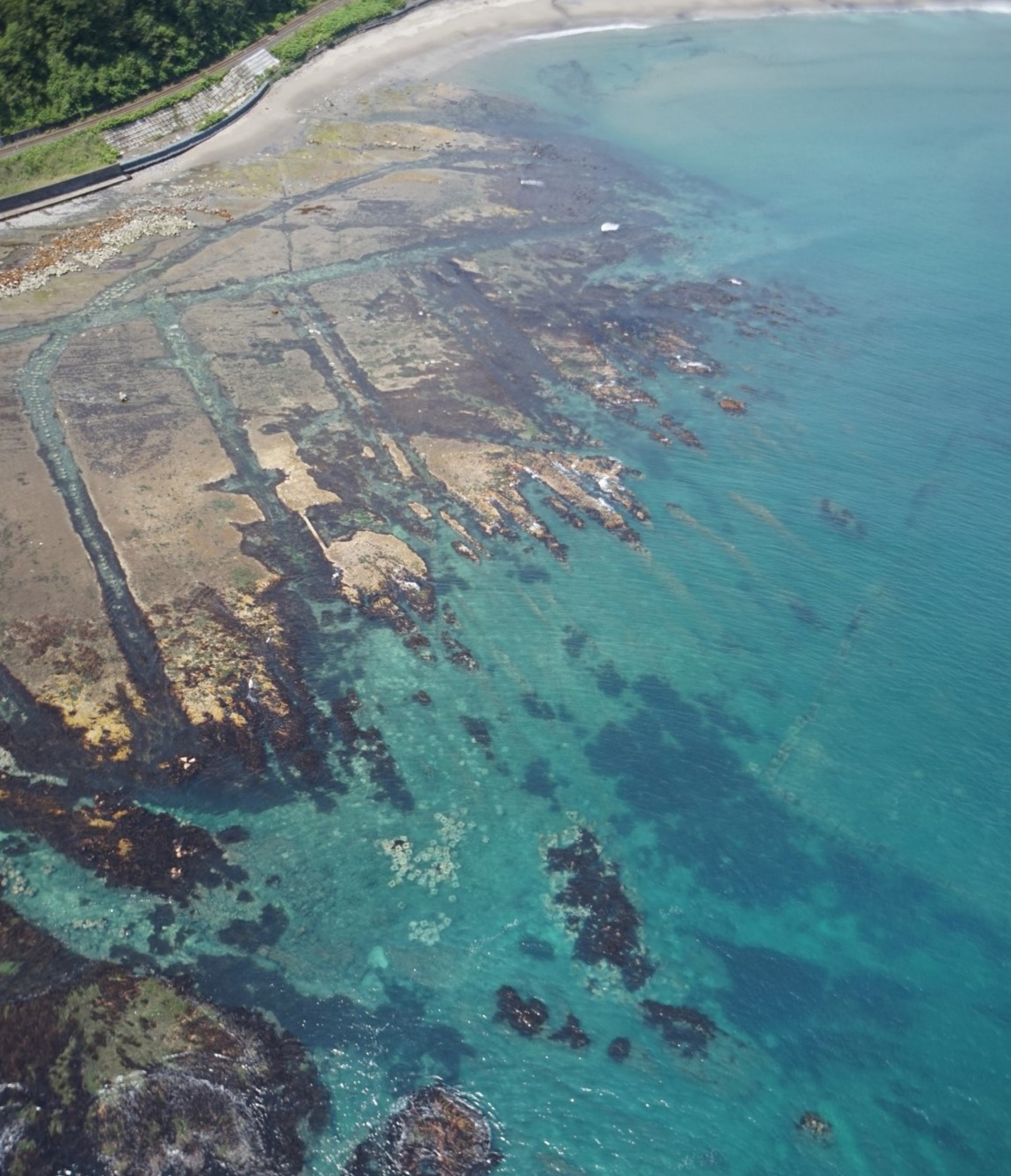 Looking straight down on Hirono’s shore: long straight channels cut into the rock shelf, dark with seaweed, running out into turquoise water.